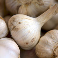 knoflook